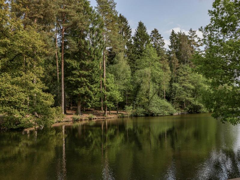 The Forest Coach House Cinderford Экстерьер фото